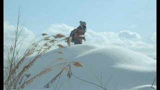 雪で覆われた青森の山々を舞台に、6歳の少年の小さな冒険が始まる／映画『泳ぎすぎた夜』予告編