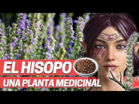 Video: Hisopo