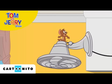 Tom ve Jerry | Uzak Doğu Dövüşü | Boomerang