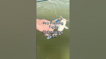 How to unhook a fish quickly #fishing #fishingtips #howto