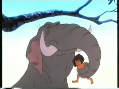 Jungle Cubs Born to Be Wild (Full Episode)