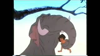Jungle Cubs Born To Be Wild (Full Episode)