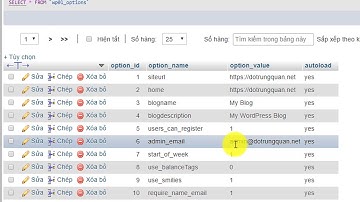 Hướng dẫn đổi email quản trị WordPress trực tiếp trong phpMyAdmin | AZDIGI HOST