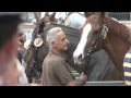 Siena Prepares For The Palio