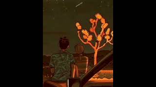 Whatsapp Status Üçün Anlamlı Mənalı Videolar Hezin Mahnılar Qısa Video Sounds App