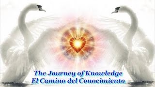 The Journey of Knowledge :: Prem Rawat :: El camino del Conocimiento