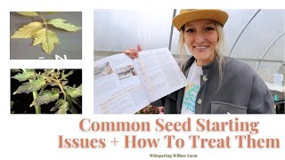 Common Seed Starting Issues & How To Treat Them