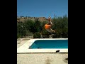 Backflip en la piscina