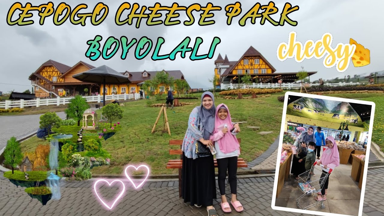 Cepogo CHEESE PARK Boyolali😍 YouTube