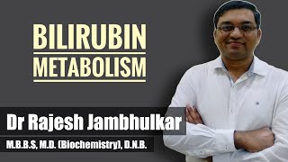 Bilirubin metabolism ( Heme catabolism) by Dr Rajesh Jambhulkar