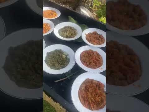 معنديش مع النفاق ونعاشر من ولا بلجيكا