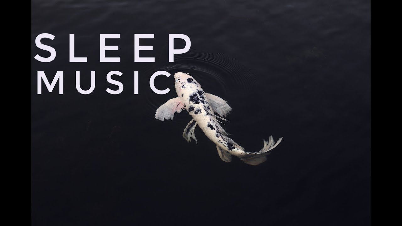 Stunning Aquarium Relax Music, Beautiful Aquarium Coral Reef Fish