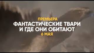 Музыка из рекламы СТС — Фантастические твари и где они обитают (2018) Музыка из рекламы СТС — Фантастические твари и где они обитают (2018)