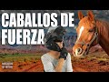 ¿Qué son los Caballos de Fuerza? - 🏍  HP - CV- KW Ep.#23