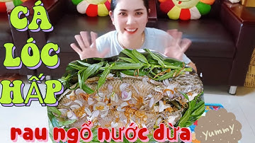 CÁ LÓC HẤP RAU NGỔ NƯỚC DỪA|chintraonvlogs|vd75