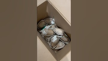 3 INCH SHELL #fireworks #foryou #pyrotechnics #fireworks