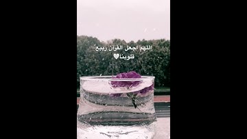 قرآن كريم #تلاوة_خاشعة #لاإله_إلا_الله #ذكر_الله #turkey #قرآن_كريم #صباح_الخير #مصر #المغرب #دبي