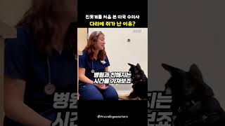진돗개를 처음 본 미국 수의사 다리에 쥐가 난 이유