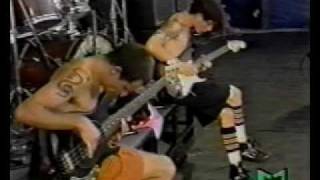 Video thumbnail of "RHCP - John Frusciante and Flea Solo (Pretty Little Ditty) live Pink Pop 1990"