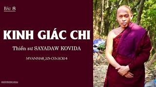 KINH GIÁC CHI - Thiền sư SAYADAW KOVIDA || Khóa thiền Samatha & Vipassana || Bài 8 (25-03-2024)