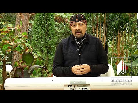 მუსიკის გაკვეთილები დათო ევგენიძესთან ერთად - 2 ნოემბერი, 2020 #ტელესკოლა