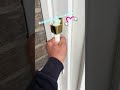 Eine der schönsten Türen im Leben