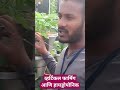हायड्रोपोनिक आणि व्हर्टिकल फार्मिंग प्रात्यक्षिक
