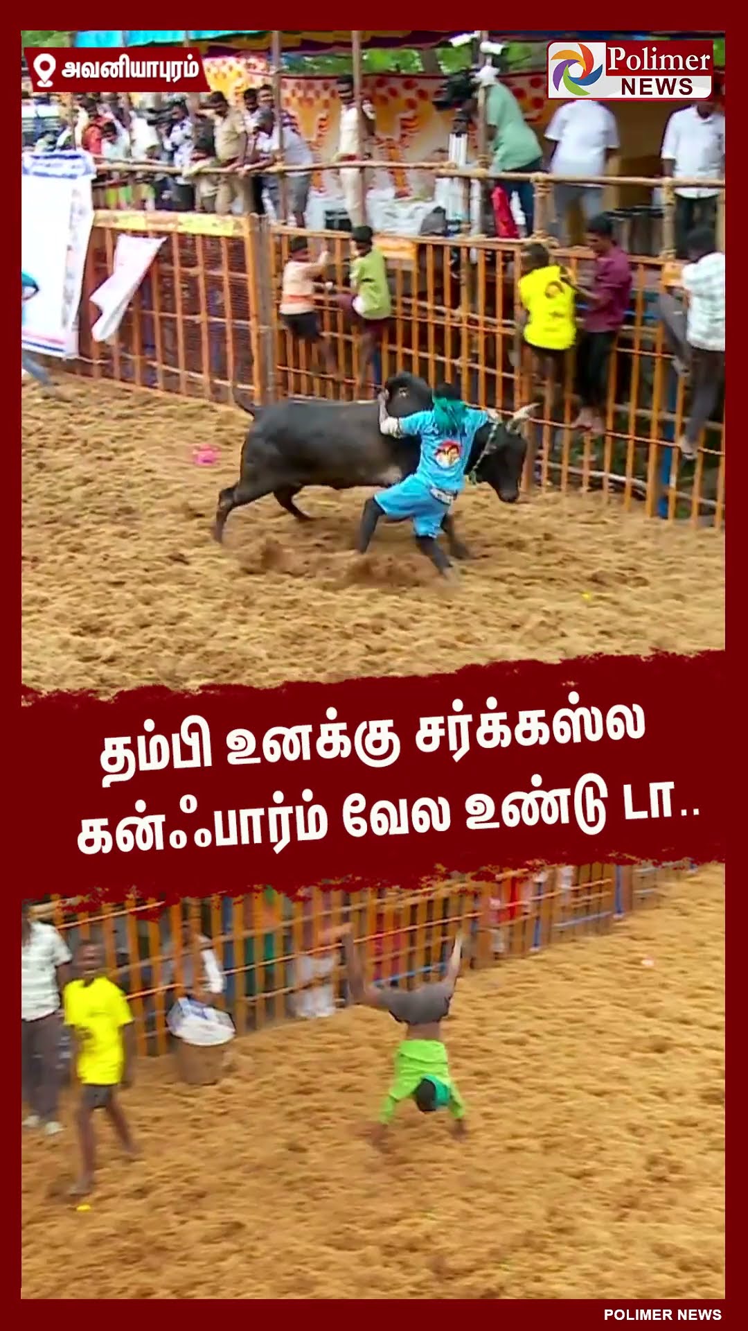 தம்பி உனக்கு சர்க்கஸ்ல கன்ஃபார்ம் வேல உண்டு டா.. !! #shorts | #avaniyapuramjallikattu
