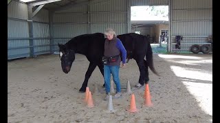 Saadi and the Expanding Cone Circle - Session 1