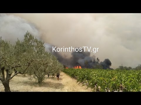 Σε εξέλιξη η πυρκαγιά σε αγροτική έκταση στο Καλέντζι Κορινθίας