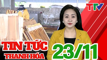 Đẩy mạnh hoạt động khuyến công hỗ trợ doanh nghiệp nâng cao năng lực sản xuất  | Thanh Hóa TV