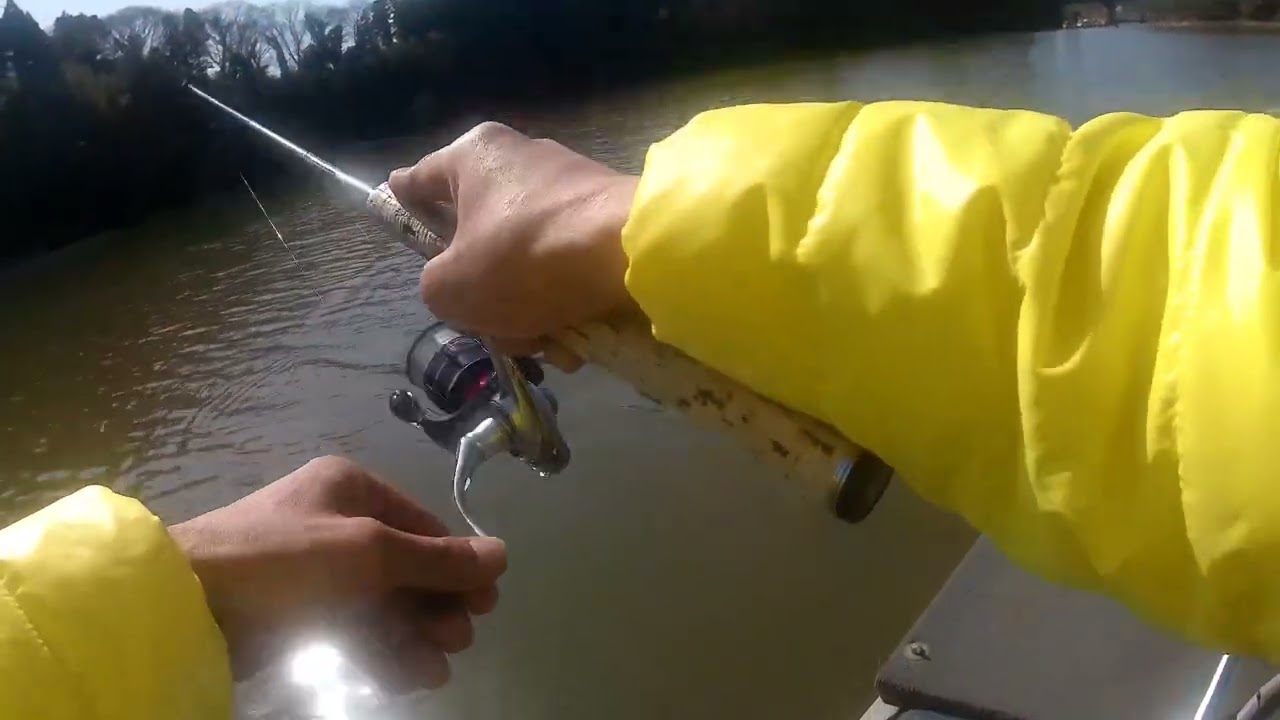 ドM釣り大会2026