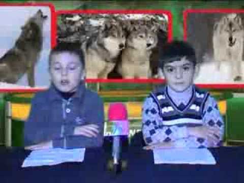 „მიკროფონი\" (მგლები)