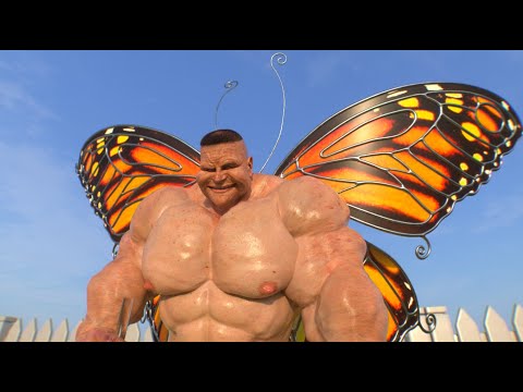 Papillon [spoiler]