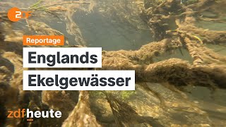 Sch**** im Wasser! Abwasserkrise in England | auslandsjournal