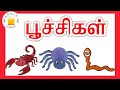 பூச்சிகள் - தமிழரசி  | Learn Insect and Wild Animals Names with Sound in Tamil for Kids & children