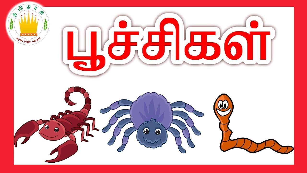 பூச்சிகள் - தமிழரசி | Learn Insect and Wild Animals Names with Sound in ...