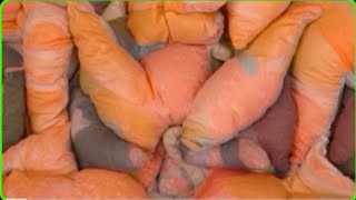 Heeriye Official Video Jasleen Royal Ft Arijit Singh Dulquer Salmaan Aditya Sharma Taani Tanvi