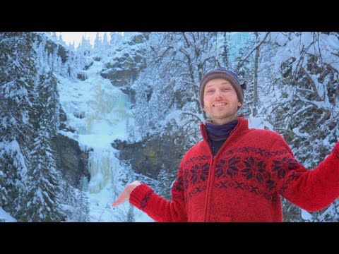 This Swedish Forest Feels Like Another World