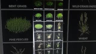 Forester Plugin Cinema 4D R19. Presets Bäume