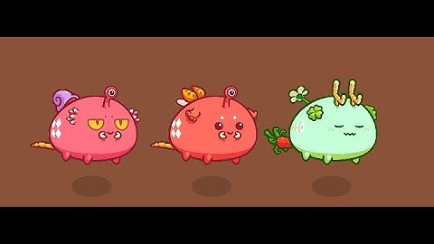 Pocky Plant Bug Bug | Axie Infinity | 2400 MMR | Season 19 | #2