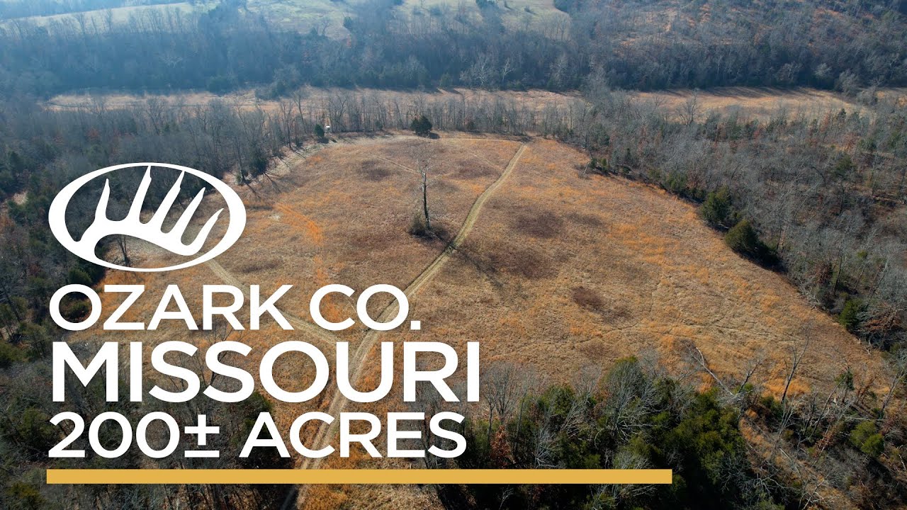 Ozark County, MO 200± acres YouTube