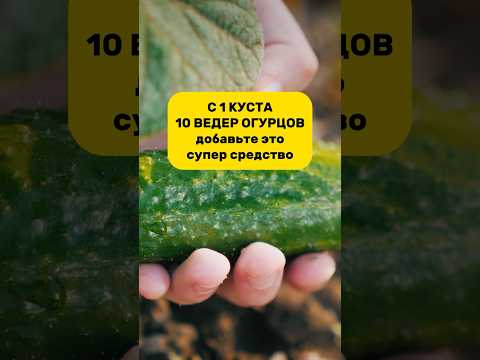 Артикул на то самое чудо-средство 320486167