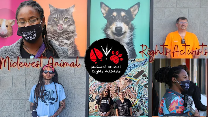 Midwest Animal Rights Activists on YouTube Vegan O...