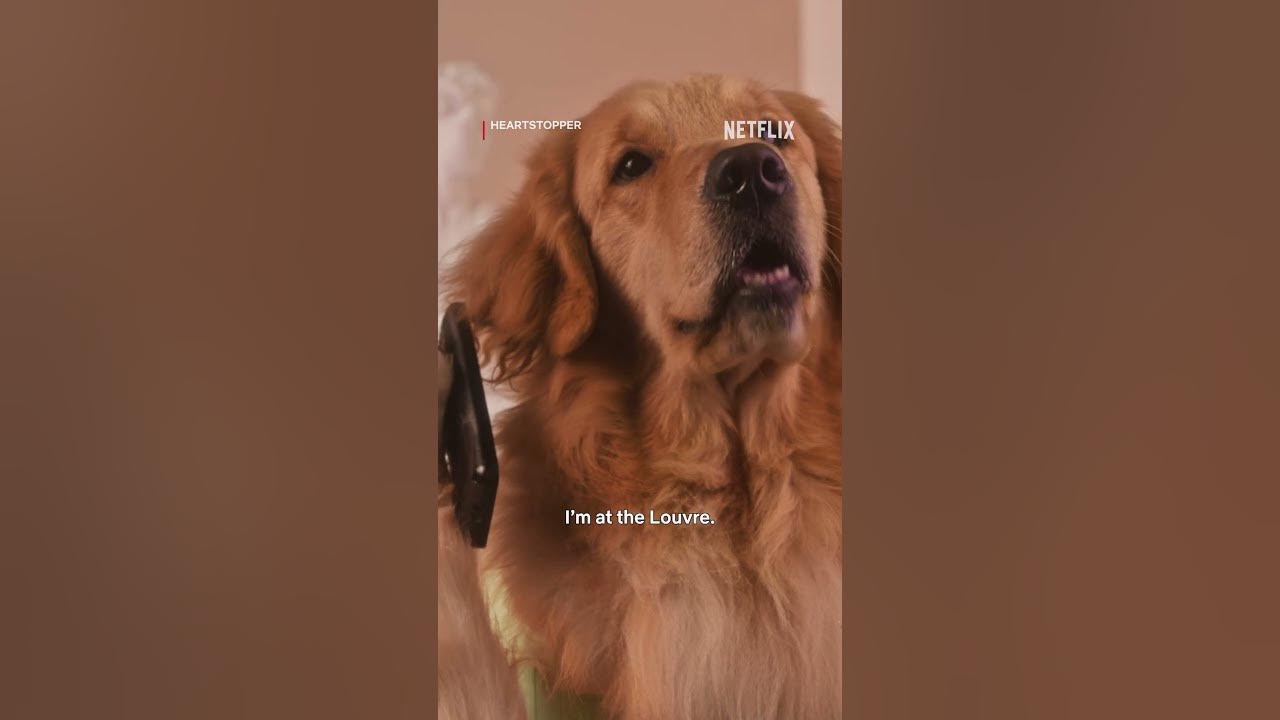 Heartstopper but with...dogs - YouTube