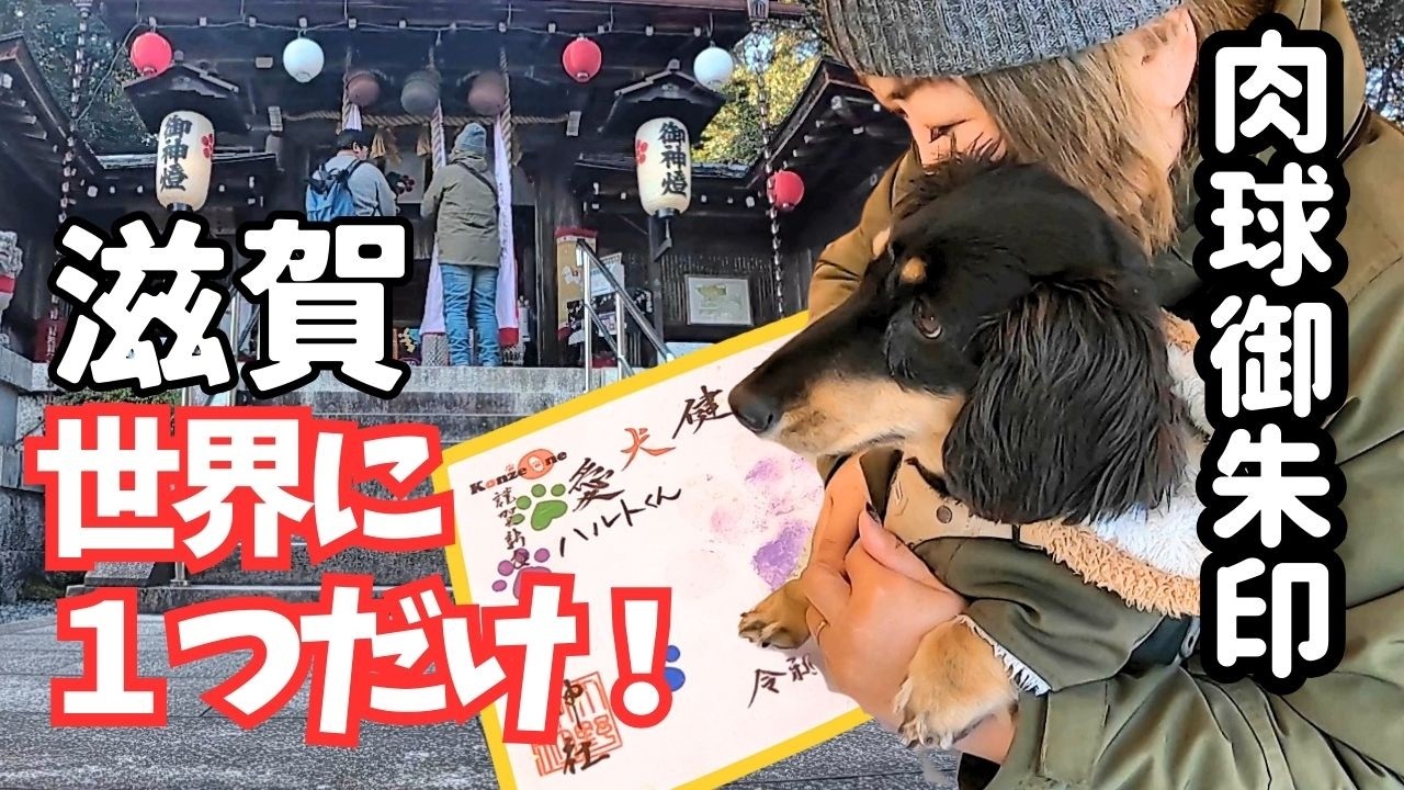 犬連れ歓喜!】嵐の聖地、滋賀にある大野神社へ|世界に一つだけ 犬連れ歓喜!】嵐の聖地、滋賀にある大野神社へ|世界に一つだけ