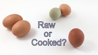 Is the Egg Raw or Cooked? STEM activity