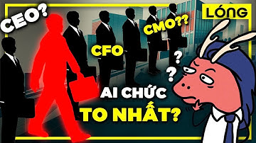 Tần tần tật về các chức vụ trong doanh nghiệp trong đúng 8 phút