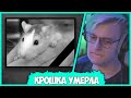 У Пятёрки умерла Крыса - Самый Печальный день в жизни Кирилла (Нарезка стрима ФУГА TV)