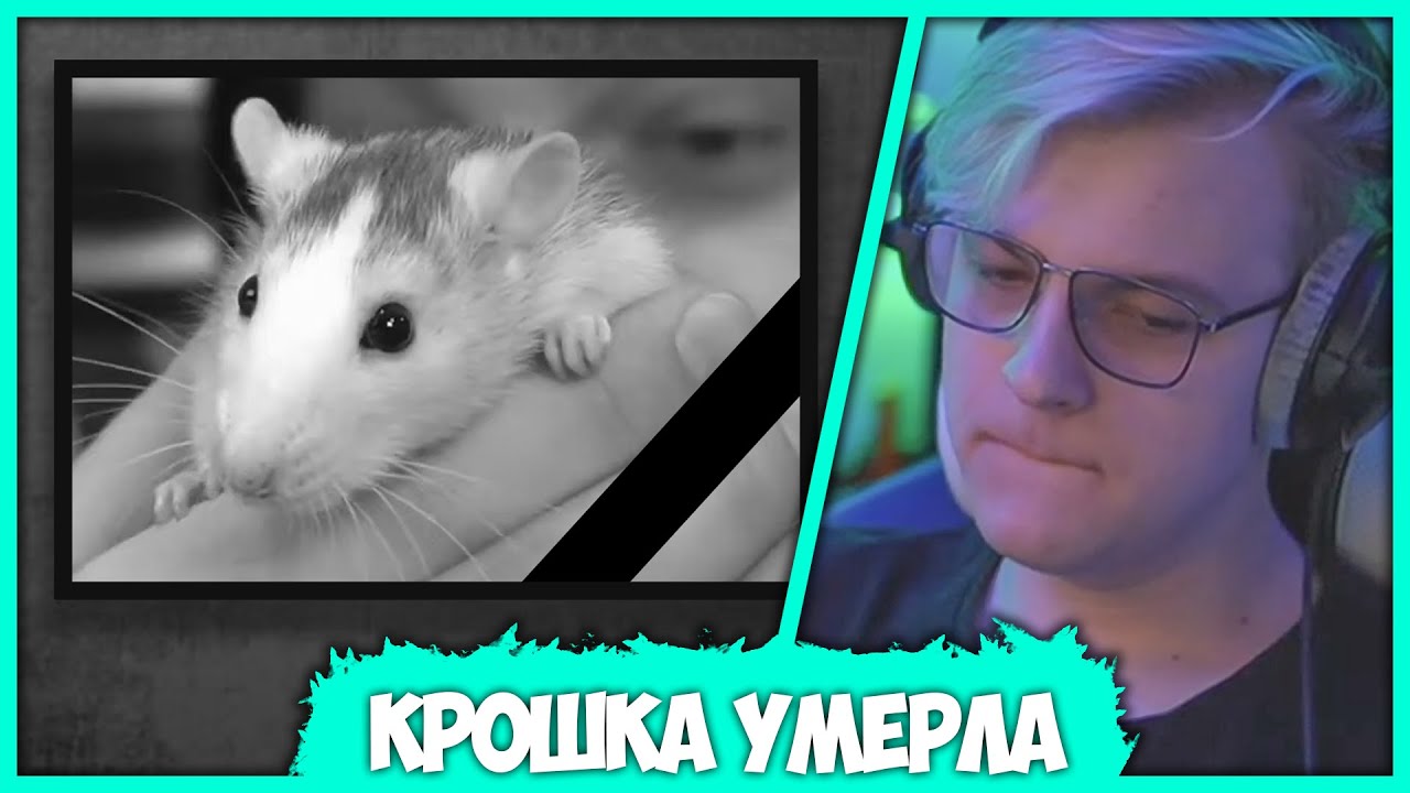 У Пятёрки умерла Крыса - Самый Печальный день в жизни Кирилла